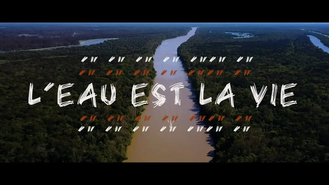 Trailer for L'EAU EST LA VIE (WATER IS LIFE): FROM STANDING ROCK TO THE SWAMP